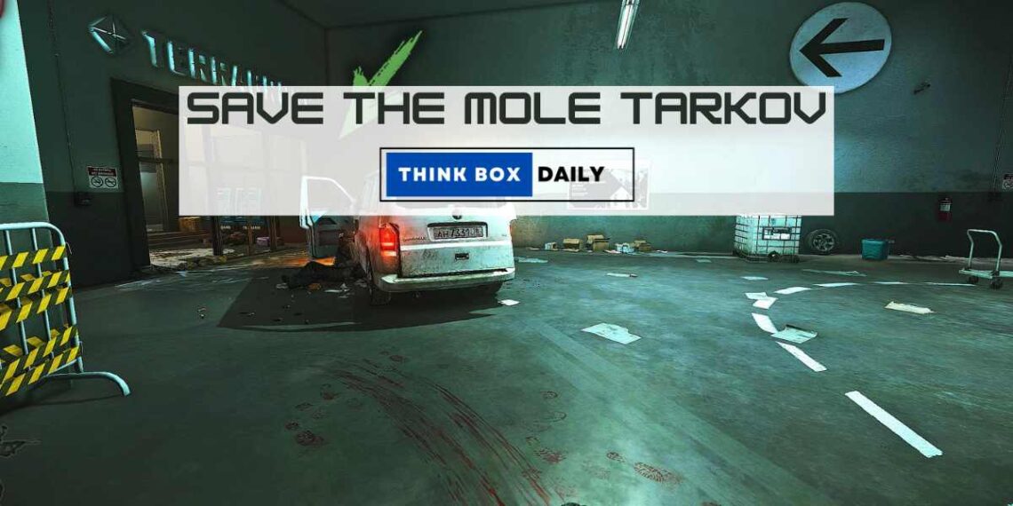 save the mole tarkov