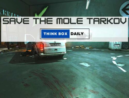 save the mole tarkov