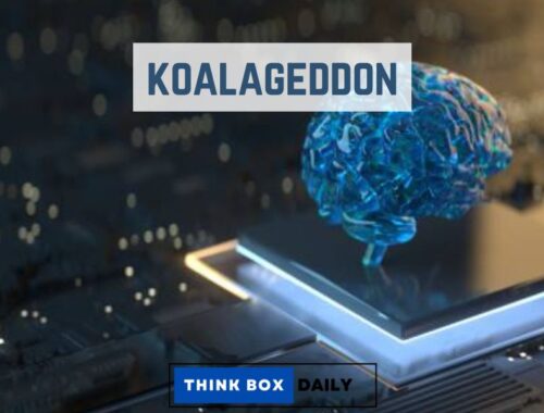 koalageddon