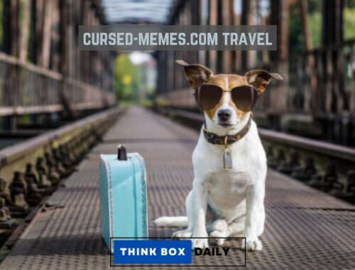 cursed-memes.com travel