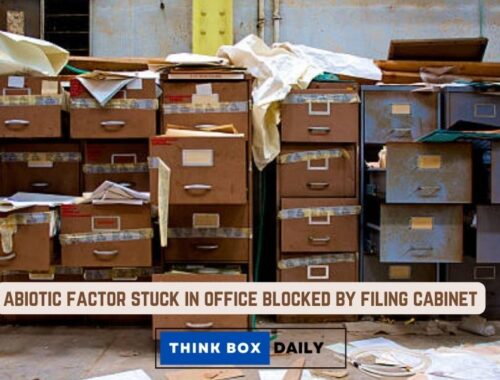 abiotic factor stuck in office blocked by filing cabinet