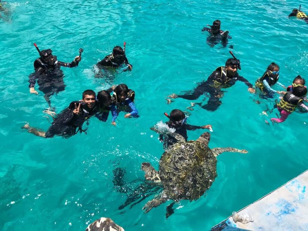 Dive Locations To Visit if You Want To See Marine Life